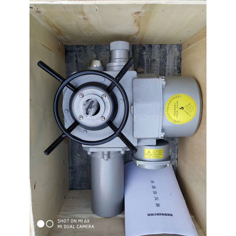 電動頭螺旋桿啟閉機(jī)