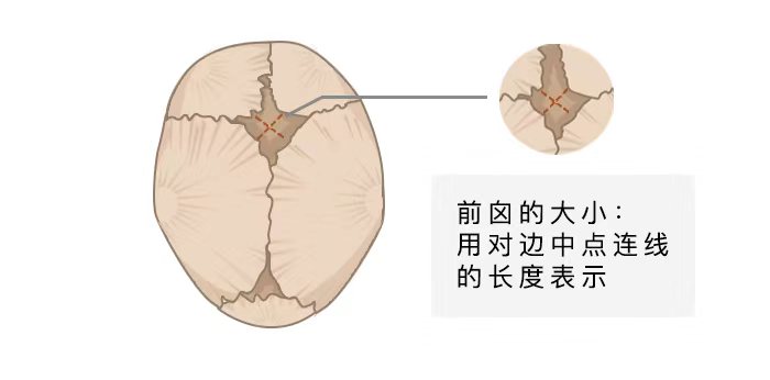 圖片關鍵詞